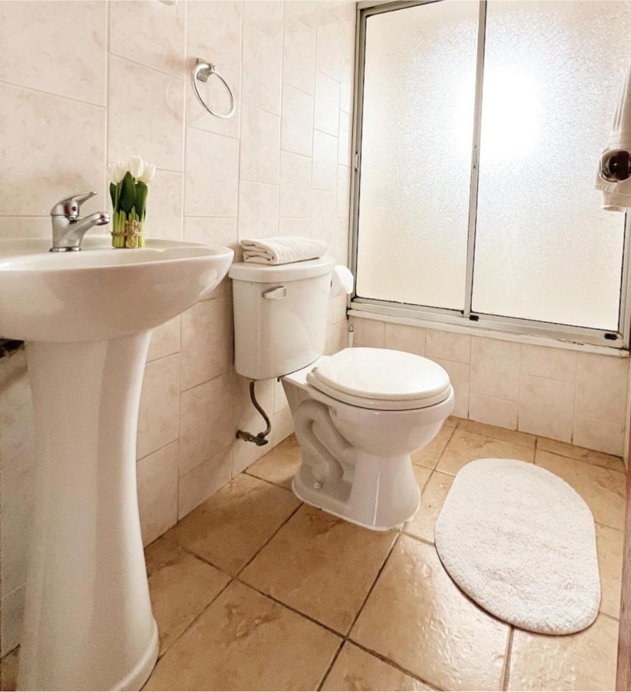 Hostal Feliza Valdivia Exteriér fotografie