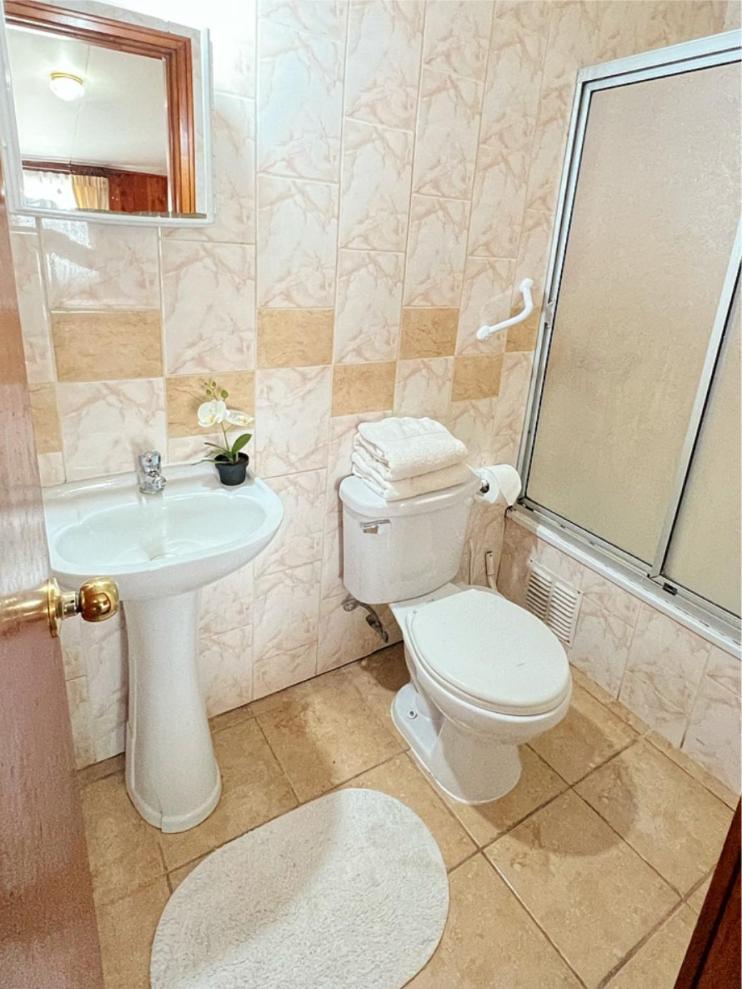Hostal Feliza Valdivia Exteriér fotografie